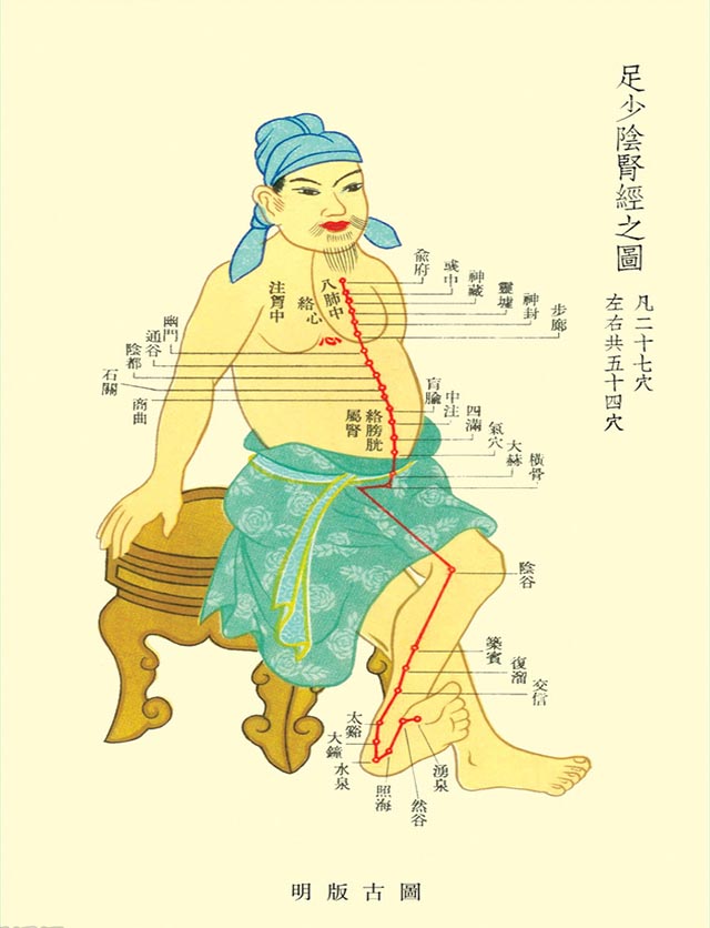 胆经
