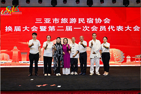 三亚古琴表演